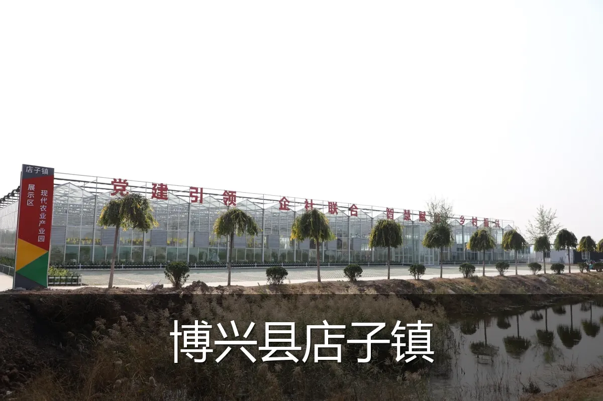 博兴县店子镇