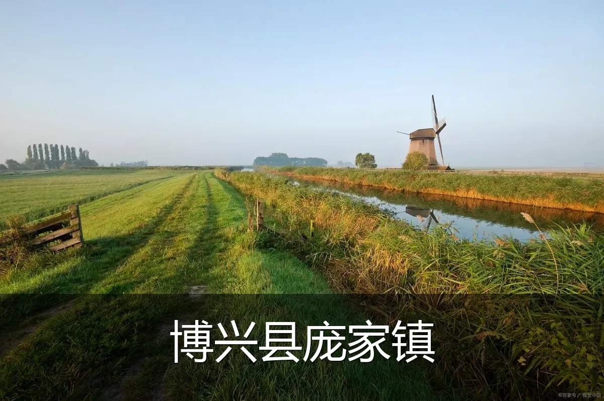 博兴县庞家镇