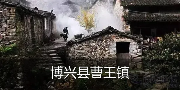 博兴县曹王镇