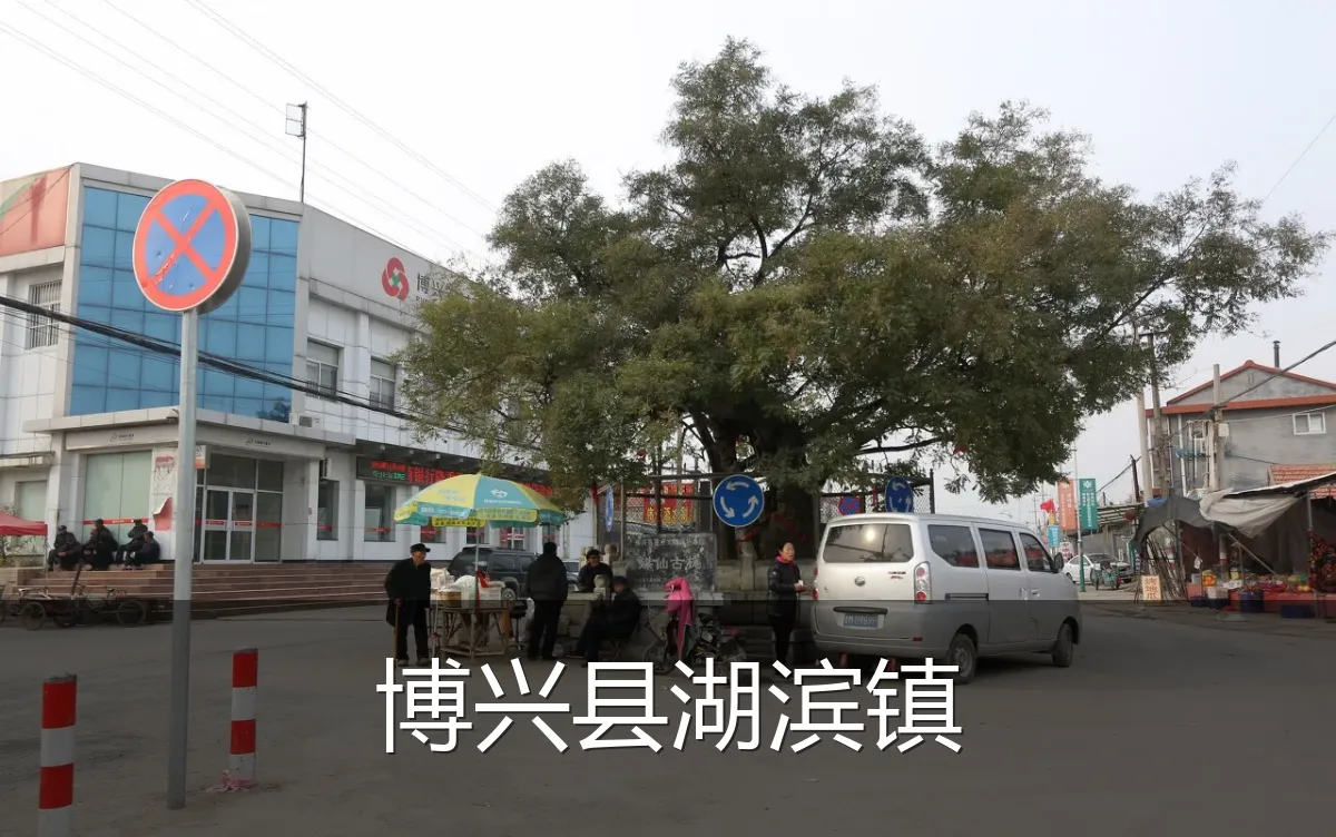 博兴县湖滨镇