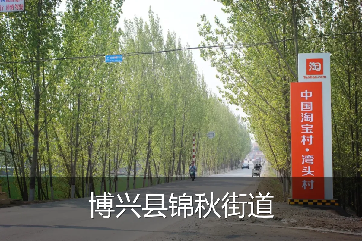 博兴县锦秋街道